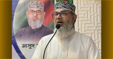 মাসুদ সাঈদী পেশায় ব্যবসায়ী, বার্ষিক আয় ১০ লাখ ৮ হাজার, ব্যক্তিগত ঋণ ২০ লাখ টাকা