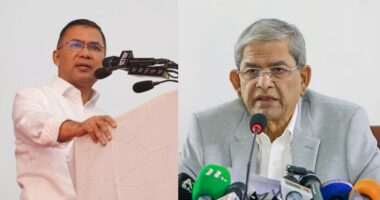 তারেক রহমান দুই-এক দিনের মধ্যেই চেয়ারম্যান পদে আসছেন : মির্জা ফখরুল