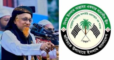 আমি এমপি হবো ইনশাআল্লাহ, সবাই মিলে যদি আমার খেজুর গাছটাকে ধানের শীষ বানান : জুনায়েদ আল হাবীব