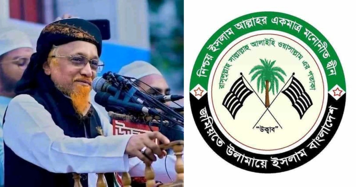 আমি এমপি হবো ইনশাআল্লাহ, সবাই মিলে যদি আমার খেজুর গাছটাকে ধানের শীষ বানান : জুনায়েদ আল হাবীব