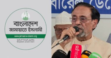 আমরা মুক্তিযুদ্ধের শক্তি এবং জুলাইয়ের শক্তি একত্রিত হয়েছি, জামায়াত এখন পরিশুদ্ধ : কর্নেল অলি