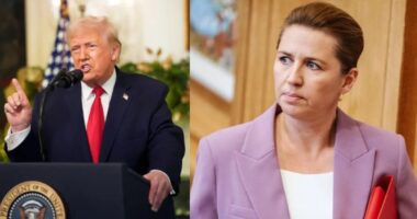 যুক্তরাষ্ট্র গ্রিনল্যান্ড দখলের চেষ্টা করলে ন্যাটোর অস্তিত্ব থাকবে না : ডেনমার্কের প্রধানমন্ত্রী