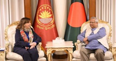 আমি মনে করি না কোনও দল ‘না’ ভোট চাইবে : প্রধান উপদেষ্টা