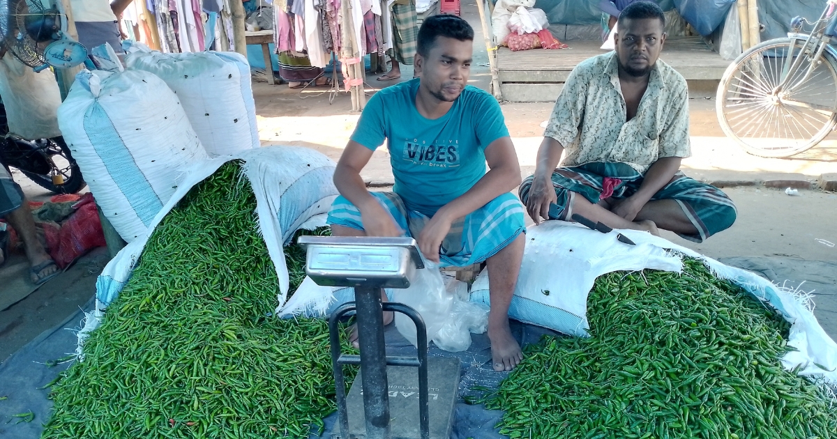 শিবগঞ্জে কাঁচা মরিচের ঝাঁজে নাভিশ্বাস ৩০ টাকা থেকে হঠাৎ ১২০ টাকা কেজি