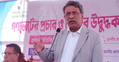 পা ধরে সালাম করে হওয়া রাষ্ট্রপতি পেতে না চাইলে গণভোটে হ্যাঁ দিন : আলী রীয়াজ