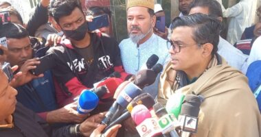 ‘আমরা সংস্কারের পক্ষে, চুরি চামারি বন্ধ করতে হলে ‘হ্যাঁ’ ভোটের পক্ষ নিতে হবে’: প্রেস সচিব