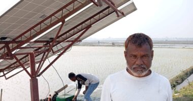 নলডাঙ্গায় হালতিবিলে কৃষকের নিজ প্রচেষ্ঠায় প্রথম সোলার পাম্প দ্বারা ইরি চাষ পদ্ধতি চালু