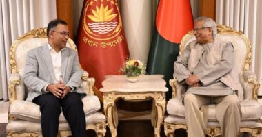 প্রধান উপদেষ্টাকে ফুলেল শুভেচ্ছা জানালেন তারেক রহমান