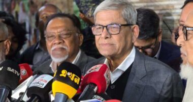 জামায়াত কর্মীরা ভোটারদের বাড়ি বাড়ি গিয়ে বিকাশ নম্বর এবং এনআইডি নম্বর সংগ্রহ করছেন : মির্জা ফখরুল