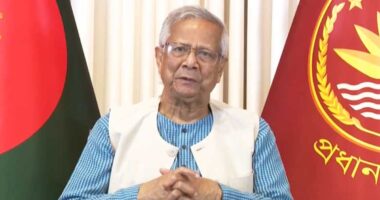 গণভোটে ‘হ্যাঁ’তে সিল দিলে নতুন দেশ গড়ার দরজা খুলে যাবে : প্রধান উপদেষ্টা