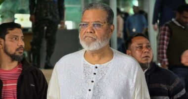 কুমিল্লা-৪ আসনে প্রার্থিতা ফিরে পেতে হাইকোর্টে বিএনপি প্রার্থী মঞ্জুরুল আহসান মুন্সীর রিট