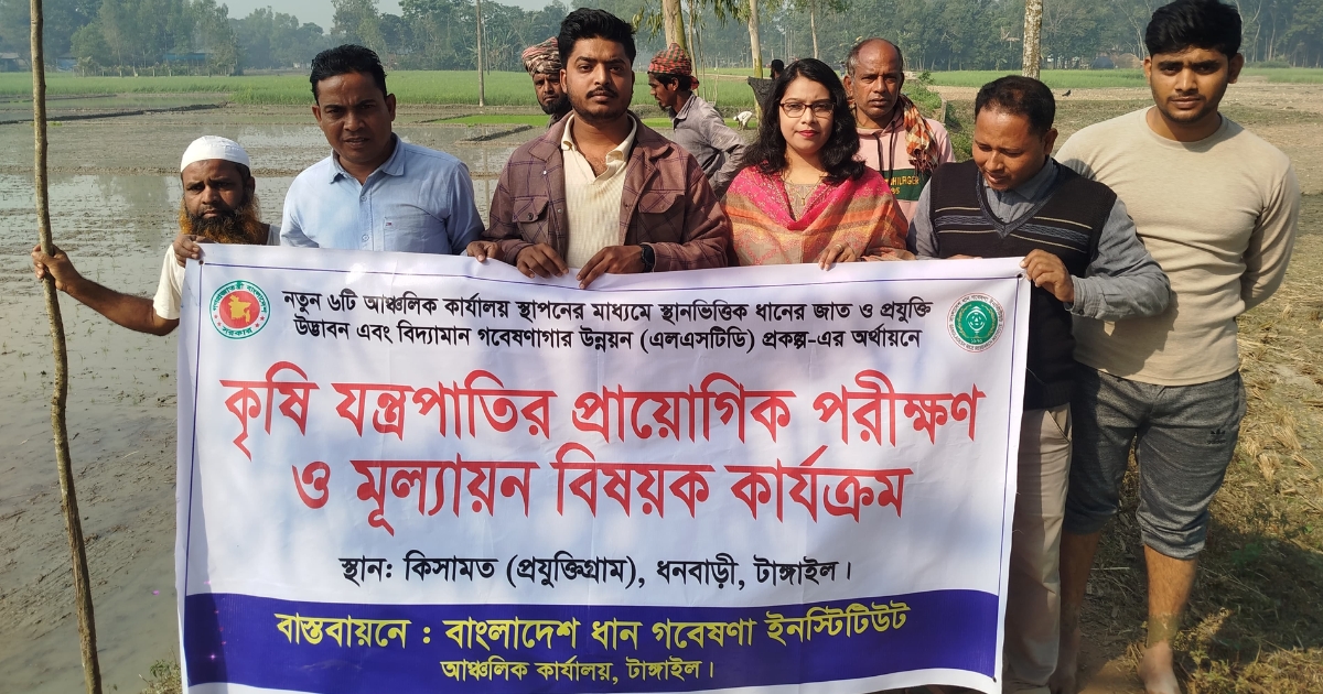 ধনবাড়িতে এলএসটিডি প্রকল্পে যান্ত্রিক ধান রোপণে অগ্রগতি
