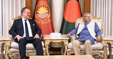 ১২ ফেব্রুয়ারির ভোটই হবে ভবিষ্যৎ নির্বাচনের মানদণ্ড, মার্কিন রাষ্ট্রদূতকে ড. মুহাম্মদ ইউনূস