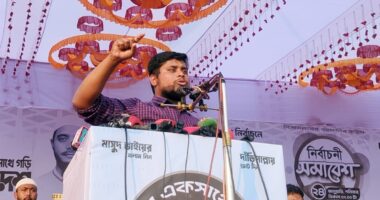 সুযোগ বুঝে যারা দেশে আসছেন, নির্বাচনের পর তারা আবার বিদেশে পাড়ি জমাবেন : হাসনাত