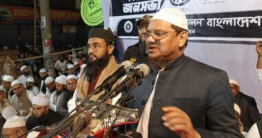 অতীতে বিএনপি ও জামায়াত সরকার পরিচালনা করেছে, কিন্তু তারা জনআকাঙ্ক্ষা পূরণ করতে পারে নাই : চরমোনাই পীর