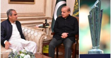 বিশ্বকাপ বয়কট নিয়ে পাক প্রধানমন্ত্রীর সঙ্গে বৈঠকে পিসিবি চেয়ারম্যান