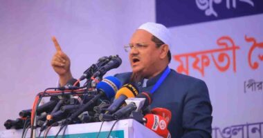 ইসলামের বাক্স ছিনতাই হয়ে যাওয়ায় জোট থেকে বের হয়েছি : চরমোনাই পীর