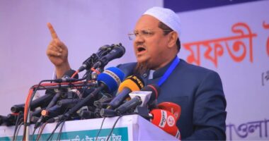 আমেরিকা-ভারতের সঙ্গে জামায়াত নেতাদের গোপনে বৈঠক কেন : চরমোনাই পীর