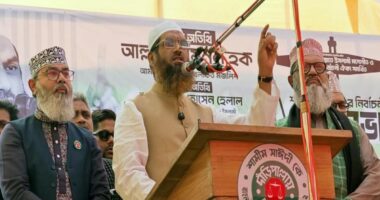 ক্ষমতায় এলে ১১ দলীয় জোট ভারতের আধিপত্য ও প্রভাব বিস্তার রুখে দেবে : মামুনুল হক