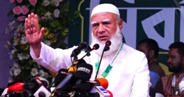 যারা খুনের নেশায় মত্ত হয়েছে, তাদের পাকড়াও করে শাস্তি দেয়া দরকার : জামায়াত আমির