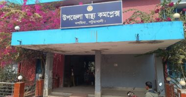 দশমিনায় সড়কের গর্তে উল্টে গেল টমটম, কাঠ শ্রমিক নিহত, আহত ৩