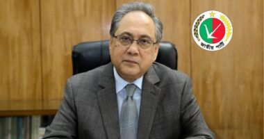 জাতীয় পার্টির নেতা আনিসুল ইসলাম মাহমুদের মনোনয়নপত্র বাতিল