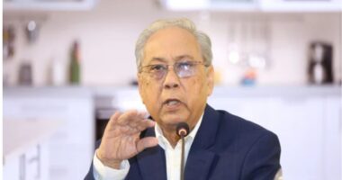 নির্বাচনের পরিবেশ দেখে মনে হচ্ছে ক্যাডার ও লাঠিসোঁটা নিয়ে মারামারি করতে যেতে হবে : আনিসুল