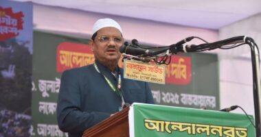 বিএনপির এক বড় নেতা ফোন করে বলেছেন- হজরত, দরজা খোলা : চরমোনাই পীর