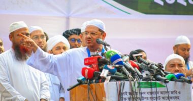 স্বৈরাচার হাসিনার আইনশৃঙ্খলা বাহিনীর কিছু সদস্য এখনো ঘাপটি মেরে আছে : চরমোনাই পীর