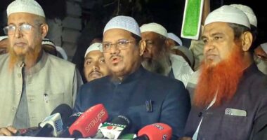 জামায়াত আমাদের ব্যবহার করতে চেয়েছিল : মুফতি রেজাউল করিম