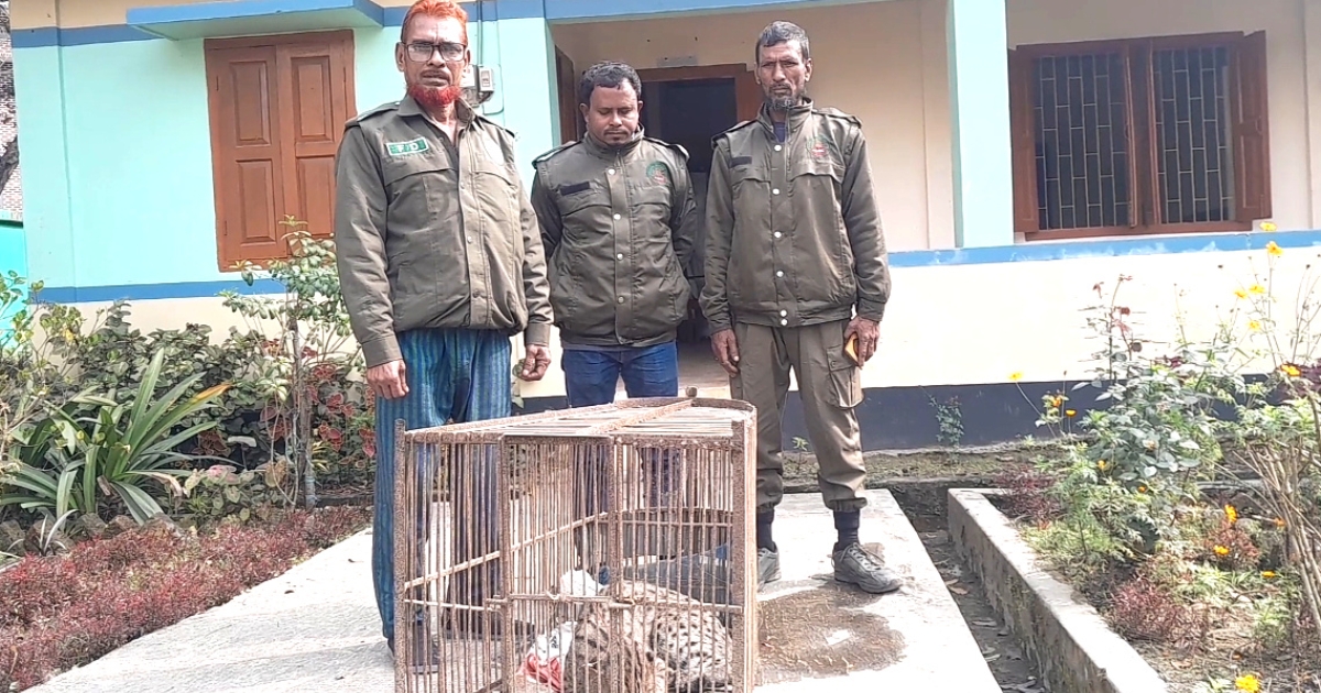 নেত্রকোনায় আহত গন্ধবকুল উদ্ধার