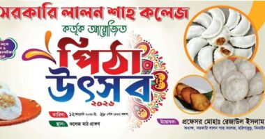 হরিনাকুন্ডুতে দিনব্যাপী পিঠা উৎসব অনুষ্ঠিত