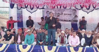 তারেক রহমানের ম্যাজিকে দেশজুড়ে ধানের শীষের গণজোয়ার : মীর শাহে আলম