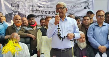 দাঁড়িপাল্লা মার্কা নিয়ে যে দল আসছে, তারা যুদ্ধের সময় পাকিস্তানিদের পক্ষে ছিল : মির্জা ফখরুল