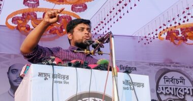 সুযোগ বুঝে যারা দেশে আসছেন, তারা আবার বিদেশে পাড়ি জমাবেন : হাসনাত আব্দুল্লাহ