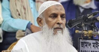 আ.লীগের মতোই জঘন্য কাজ করছে জামায়াত, আ.লীগের জুলুমকেও হার মানাচ্ছে : কায়কোবাদ