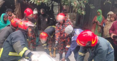 বাগেরহাটে আগুনে পুড়ে বৃদ্ধার করুণ মৃত্যু