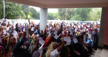 গনভোট বিষয়ে লাইভ ভেরিফিকেশন ও উঠান বৈঠক অনুষ্ঠিত  