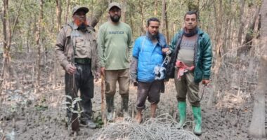 সুন্দরবনের কচিখালীতে ফাঁদে আটক হরিণ উদ্ধার, শিকারী গ্রেপ্তার