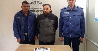 মেহেরপুরে সেনাবাহিনীর অভিযানে আগ্নেয়াস্ত্র সহ একজন আটক