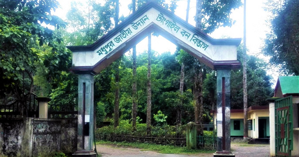 টাঙ্গাইলে আদিবাসীদের বিরুদ্ধে বন আইনের ৮৮ মামলা প্রত্যাহার