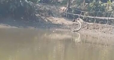 লালমোহনে প্রবাহমান খালে বাঁধ দিয়ে মাছ ধরার কারণে ও চাষাবাদ বিঘ্নের অভিযোগ