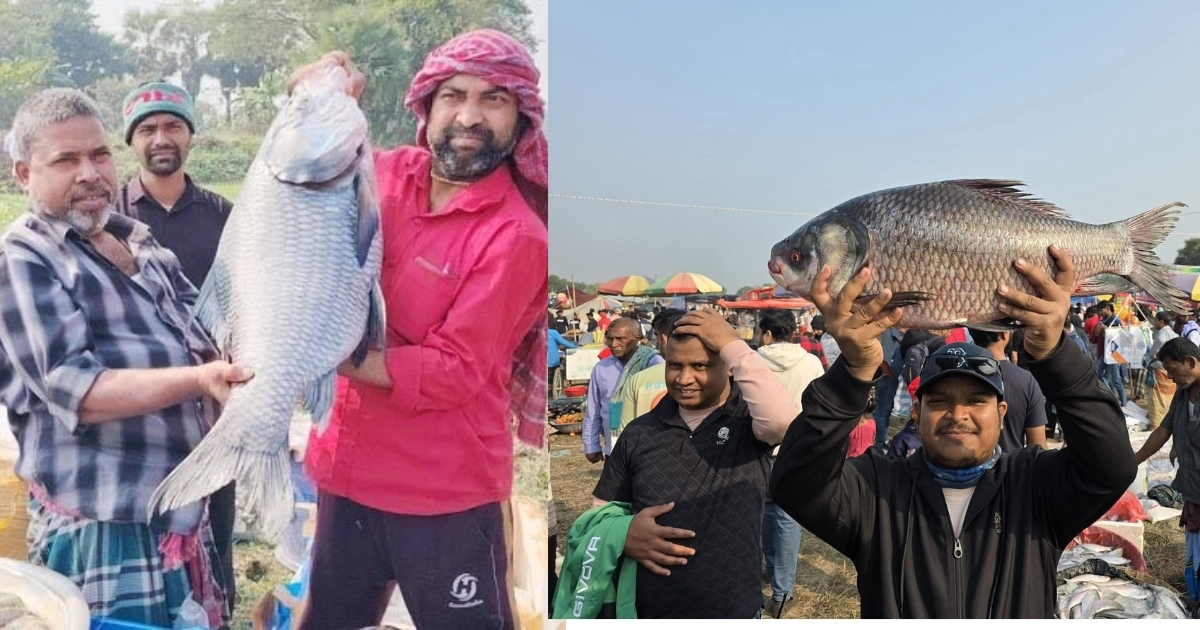 আড়াইশ বছরের পুরোনো ঐতিহ্যের জামাই মেলা