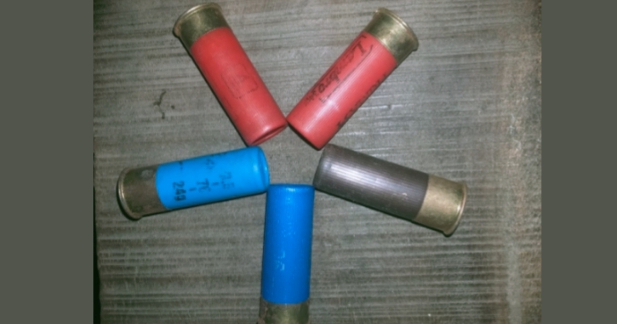 নির্বাচন সামনে রেখে মুন্সিগঞ্জে সেনা অভিযান, কার্তুজ উদ্ধার