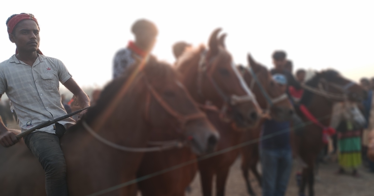 ঘোড়দৌড়ে উৎসবমুখর মধুপুর