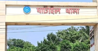 ঘাটাইলে ছোট ভাইয়ের লাঠির আঘাতে বড় ভাই খুন