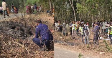 গাজীপুরের শ্রীপুরে অজ্ঞাত কিশোরের পোড়া মরদেহ উদ্ধার