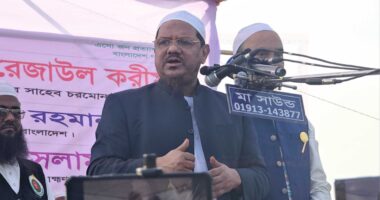জামায়াত ক্ষমতায় গেলে ইসলাম অনুযায়ী দেশ চালাবে না: মুফতি রেজাউল করীম