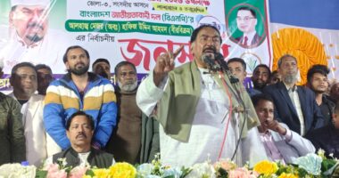 বিএনপি ও ধানের শীষে ভোট দিলে দেশের উন্নয়ন হবে : মেজর হাফিজ