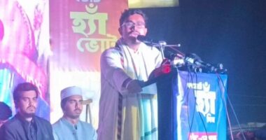 বুকে পাথর চেপে তারেক রহমান ‘হ্যাঁ’ বললেও তৃণমূলে ‘না’-এর ক্যাম্পেইন চলছে : সাদিক কায়েম